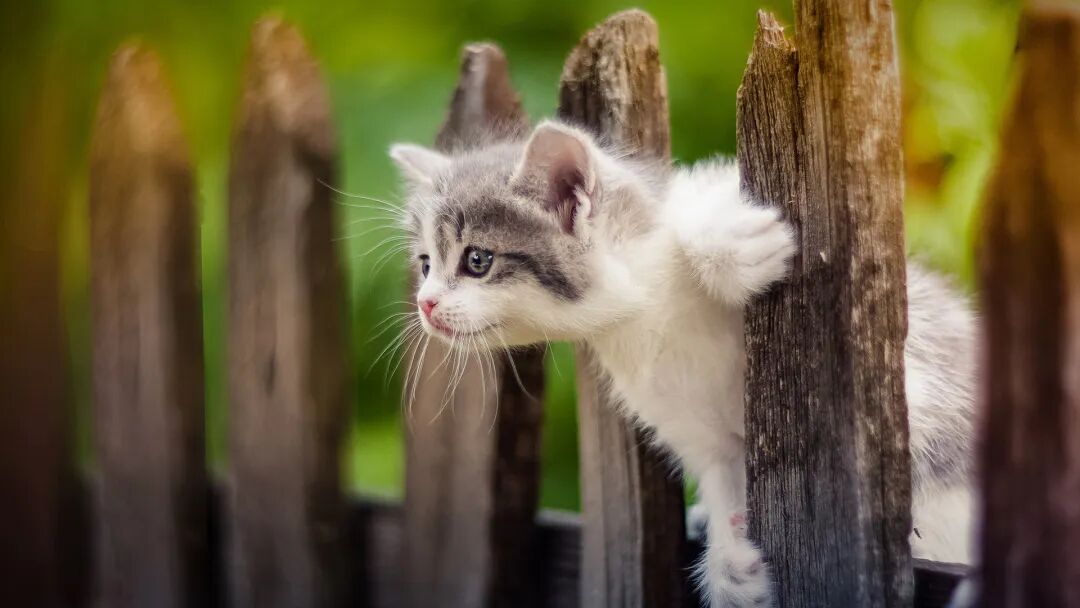 赤戟推书单404｜年度文豪&middot;诡异乐子&middot;世情修仙&hellip;&hellip;