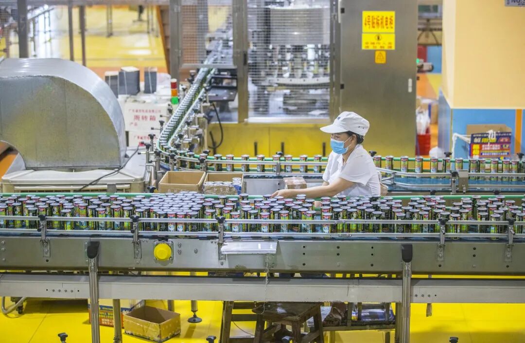 擦边二十年的椰树，这次翻车不冤