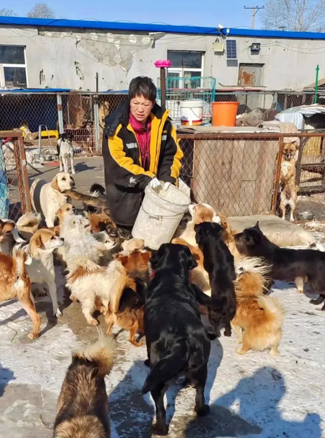 69shuba.ac短剧资讯网