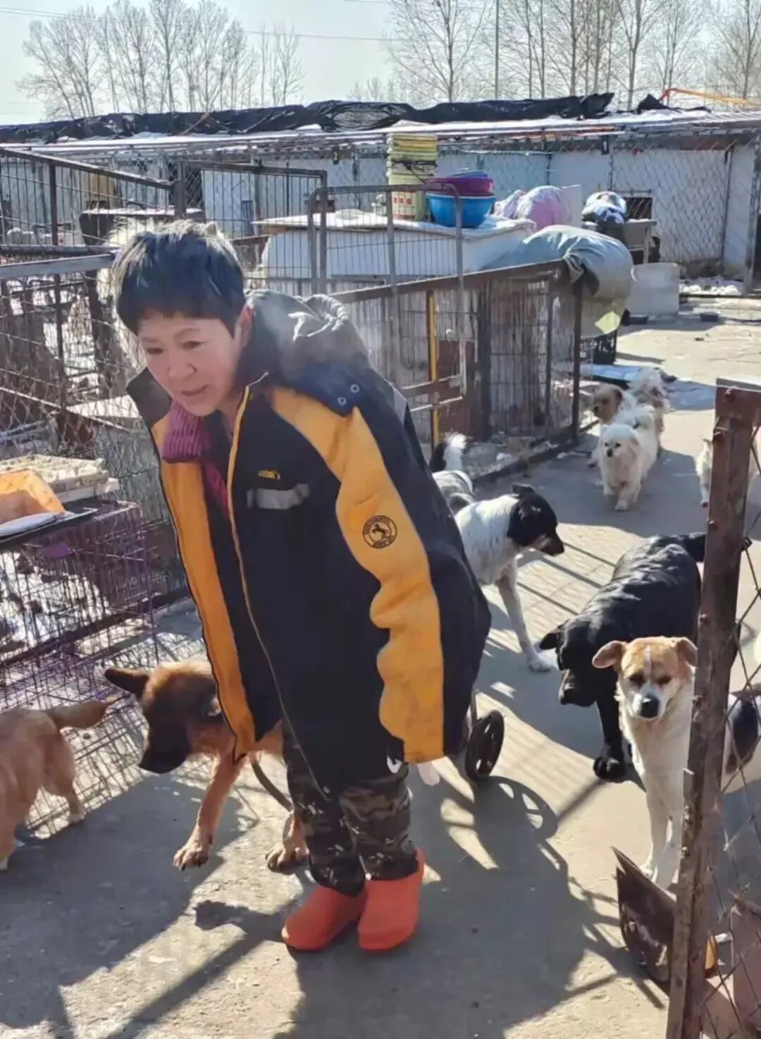 69shuba.ac短剧资讯网