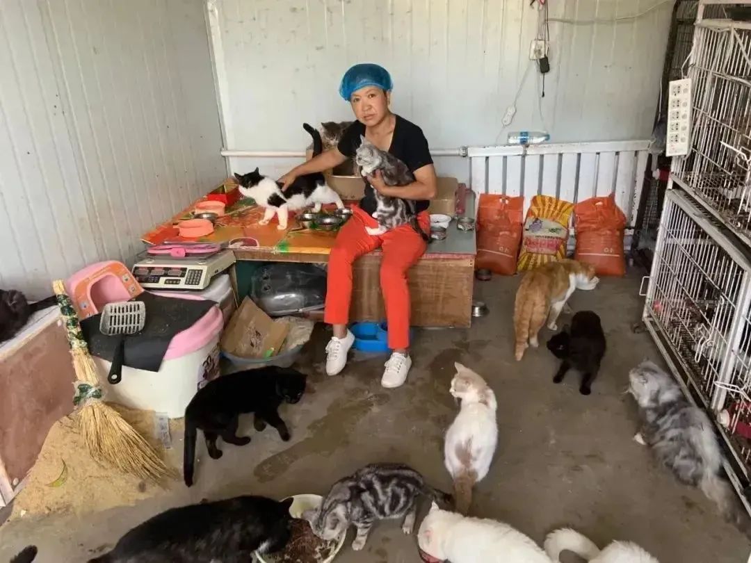 69shuba.ac短剧资讯网