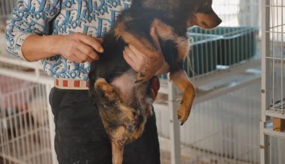 69shuba.ac短剧资讯网