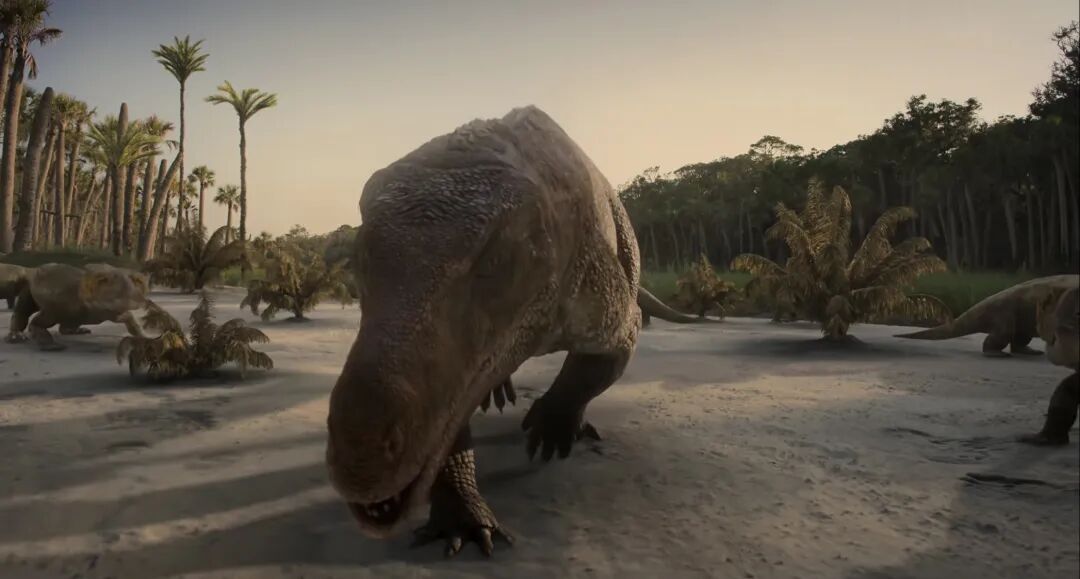 69shuba.ac短剧资讯网