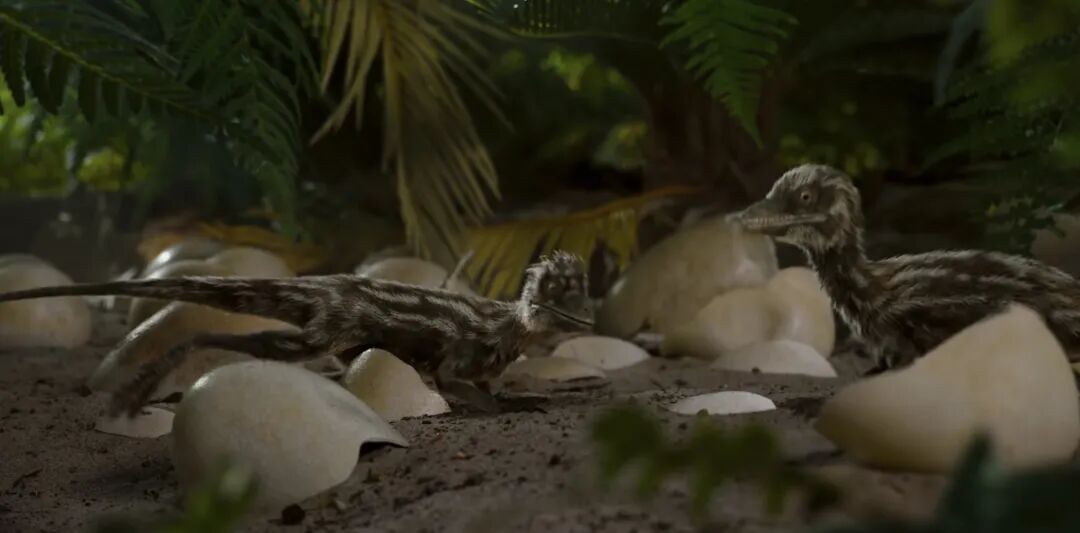 69shuba.ac短剧资讯网