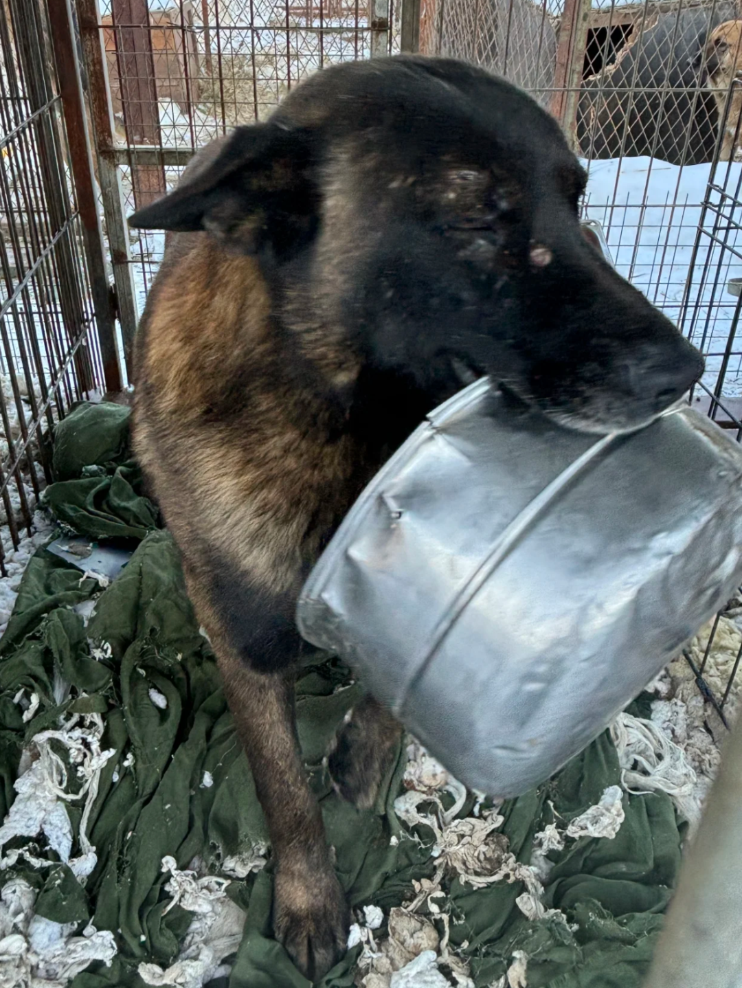 69shuba.ac短剧资讯网