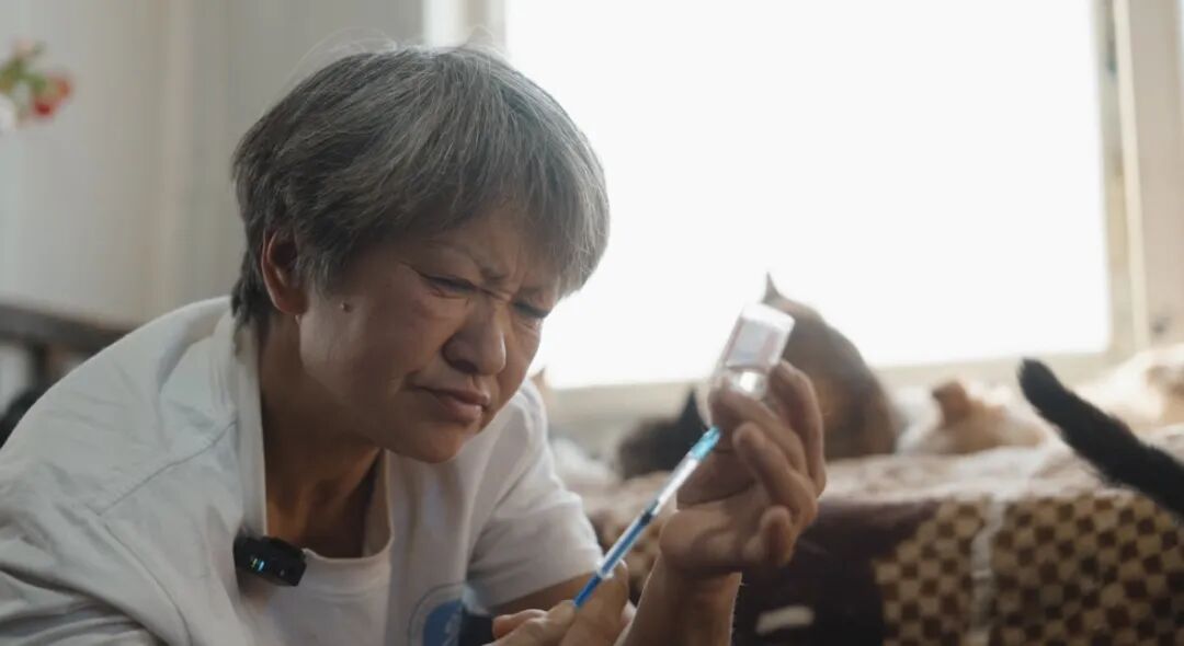 69shuba.ac短剧资讯网