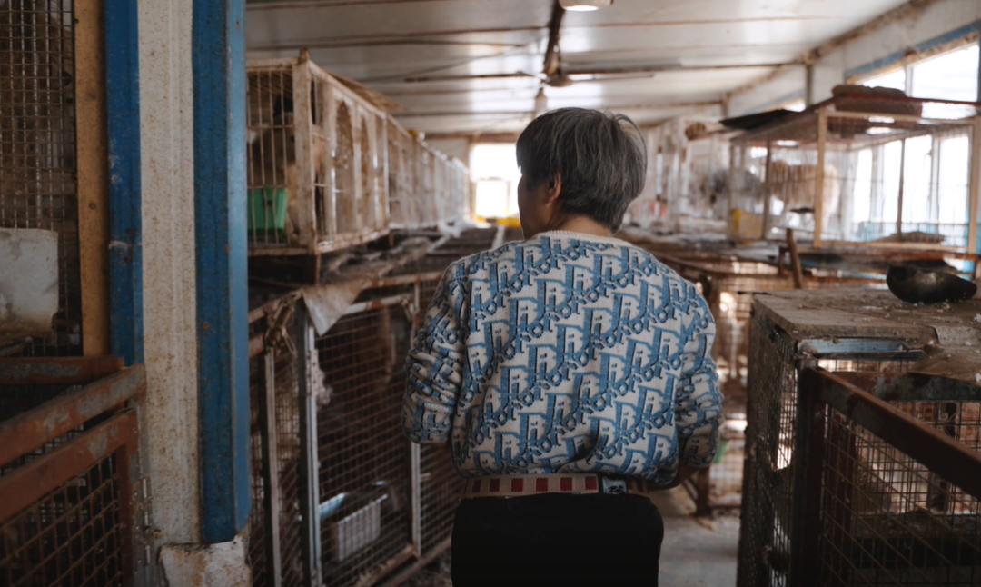 69shuba.ac短剧资讯网