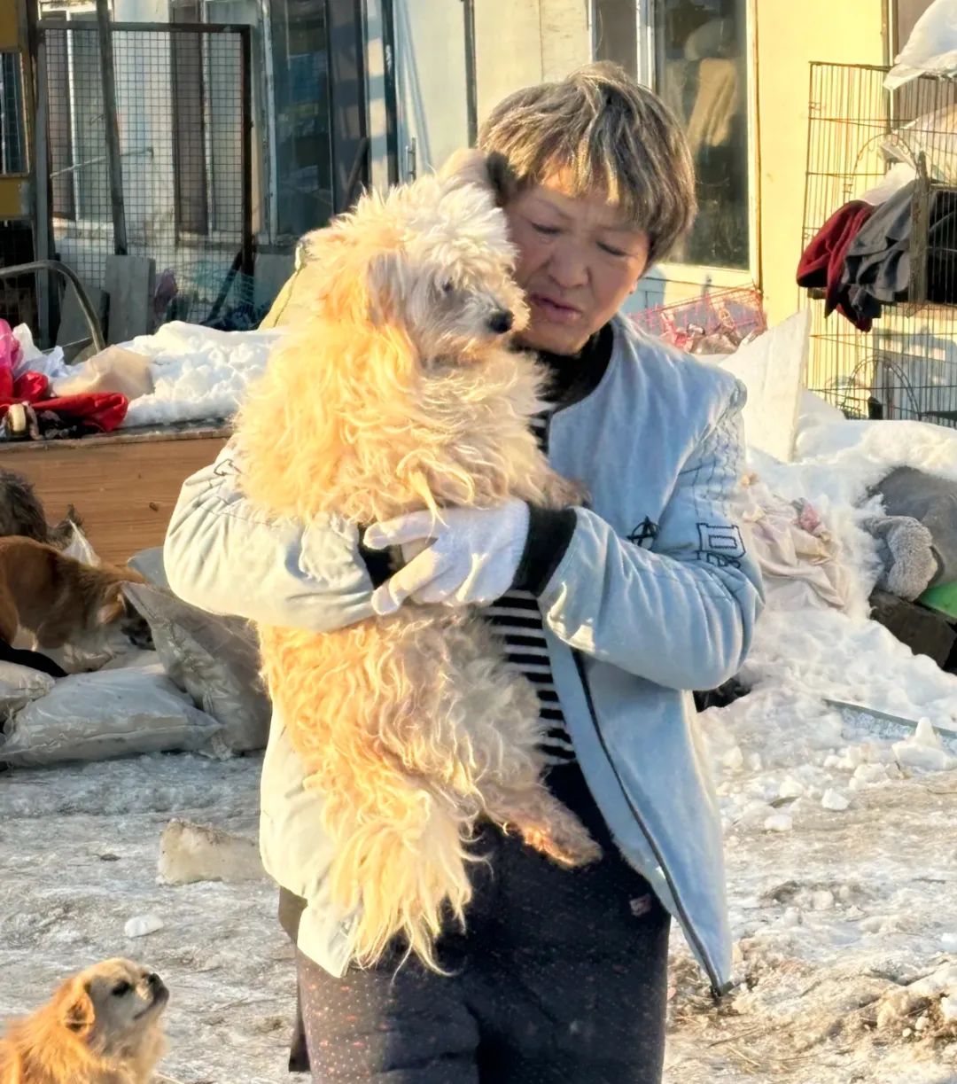 69shuba.ac短剧资讯网