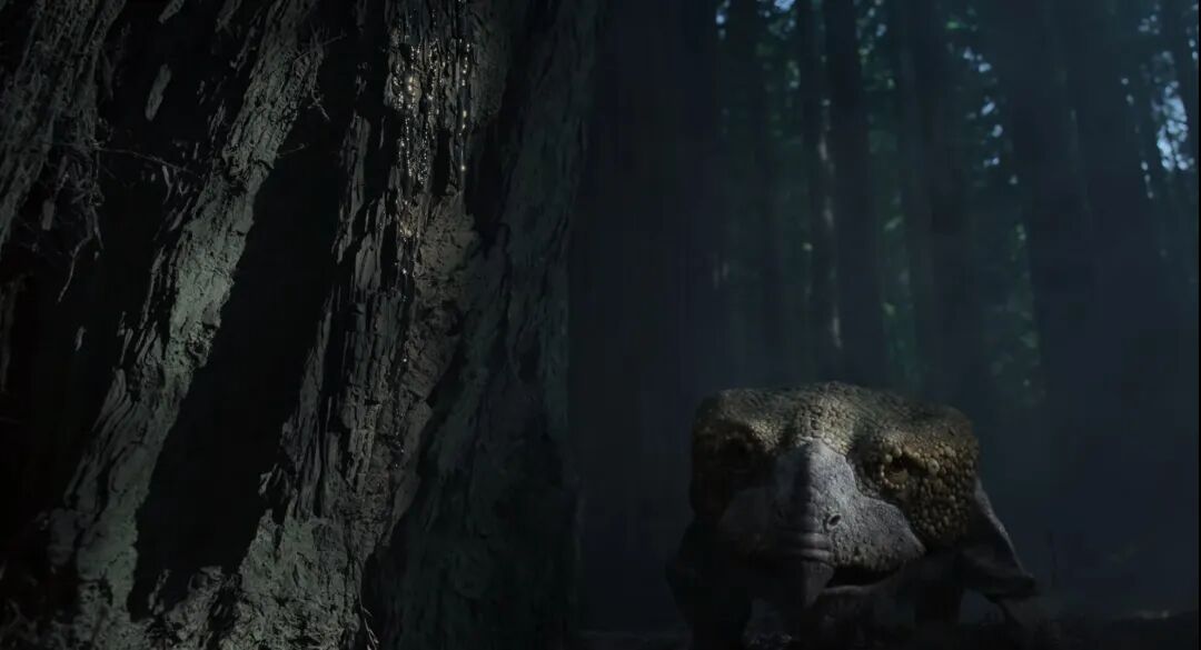 69shuba.ac短剧资讯网