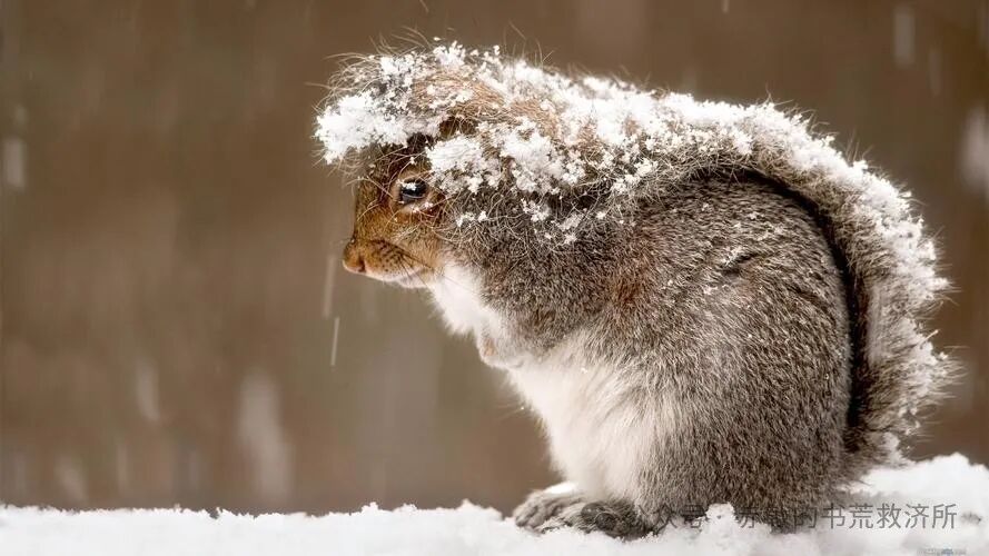 2025&middot;年度盘点&middot;西方奇幻篇