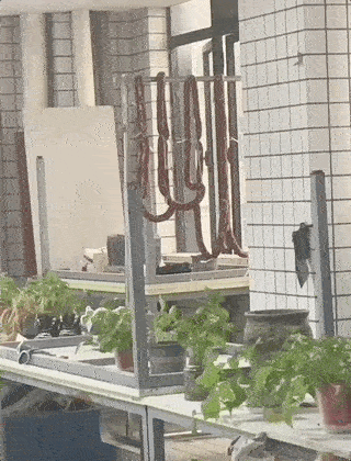 69shuba.ac短剧资讯网