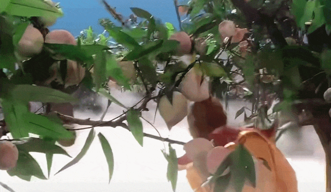 69shuba.ac短剧资讯网