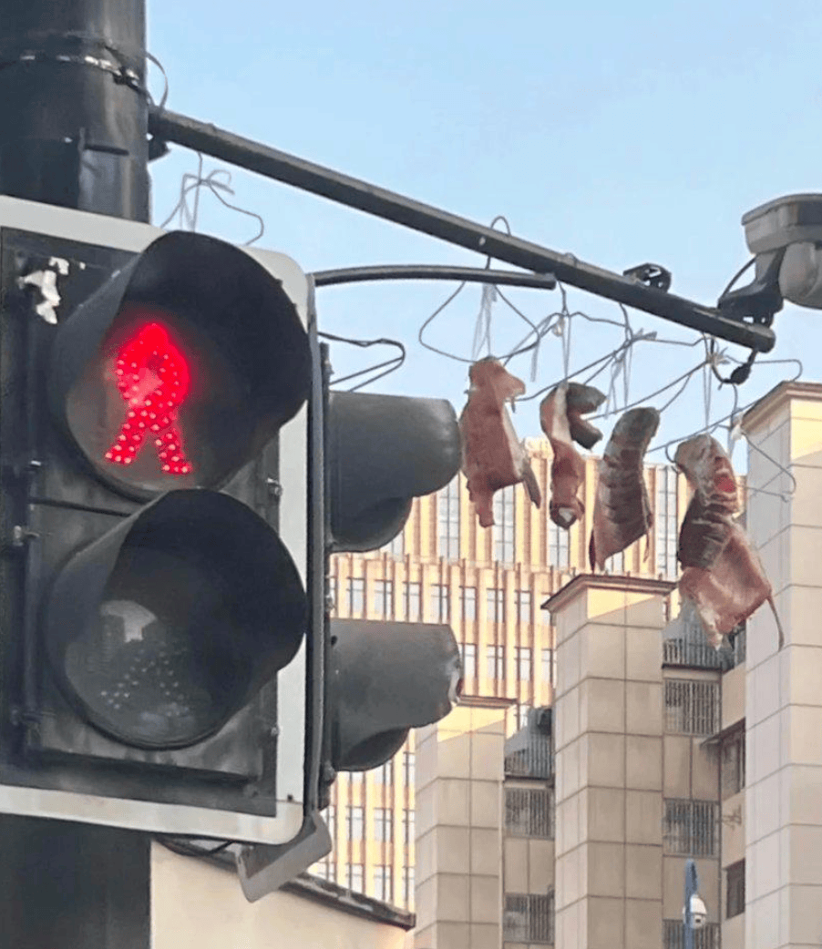 69shuba.ac短剧资讯网