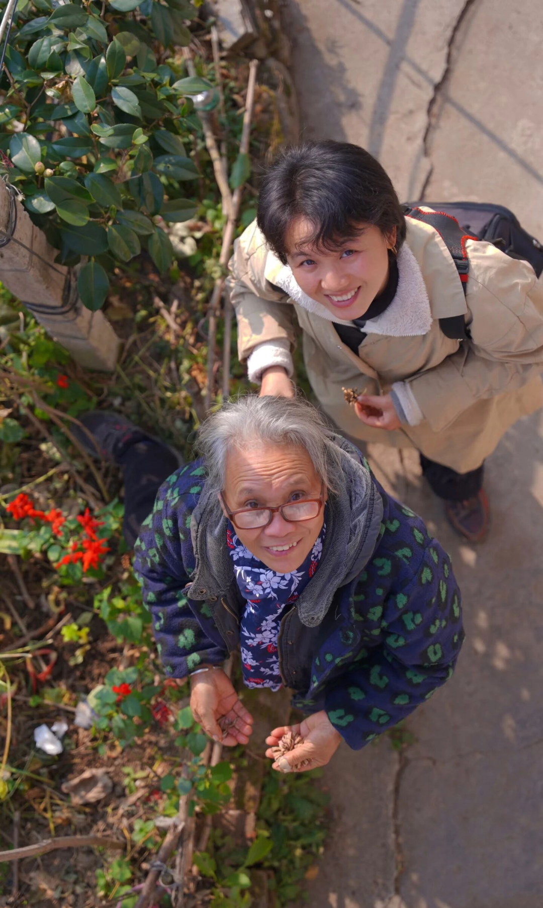 69shuba.ac短剧资讯网