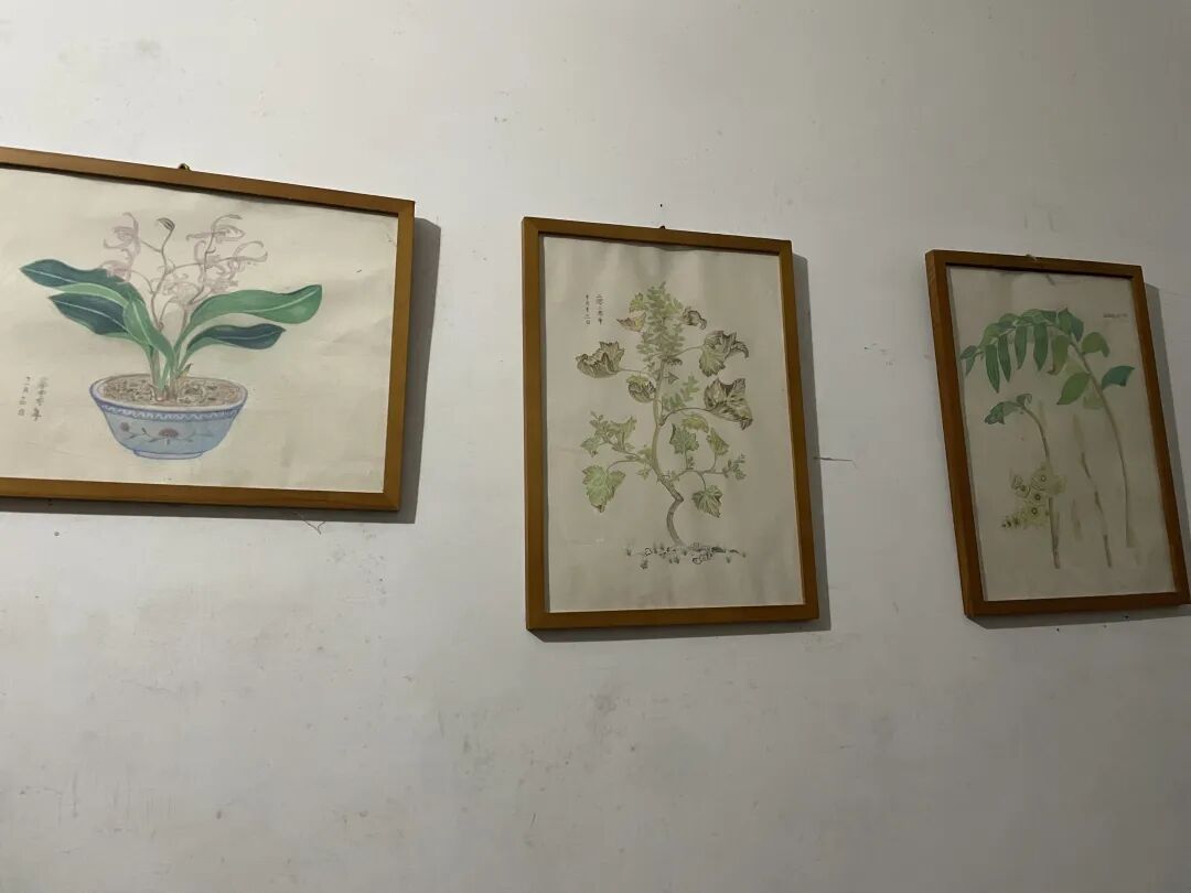 69shuba.ac短剧资讯网