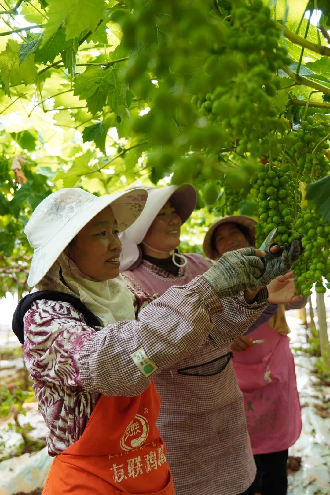 69shuba.ac短剧资讯网