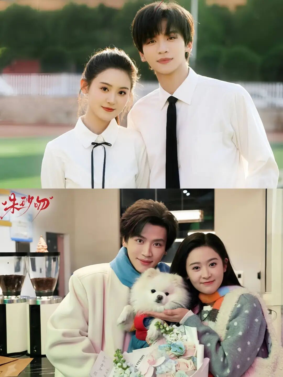 周末剧荒不用怕！近期值得一刷的3部宝藏好剧来了！卡戎的《老板他暗恋我》第二，翟一莹的《朱砂吻》第一