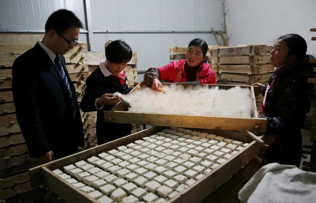 69shuba.ac短剧资讯网