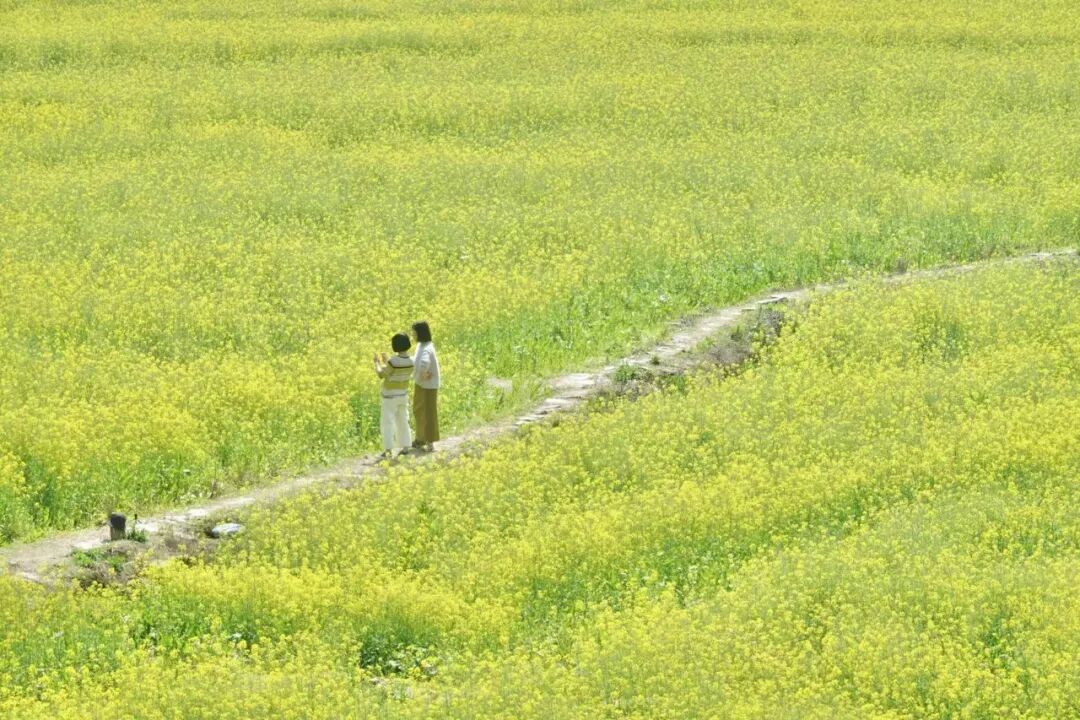 今年春天，我似乎进入了&ldquo;梅雨季&rdquo;。