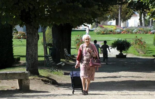 豆瓣9.0分，不愧是治愈神作！