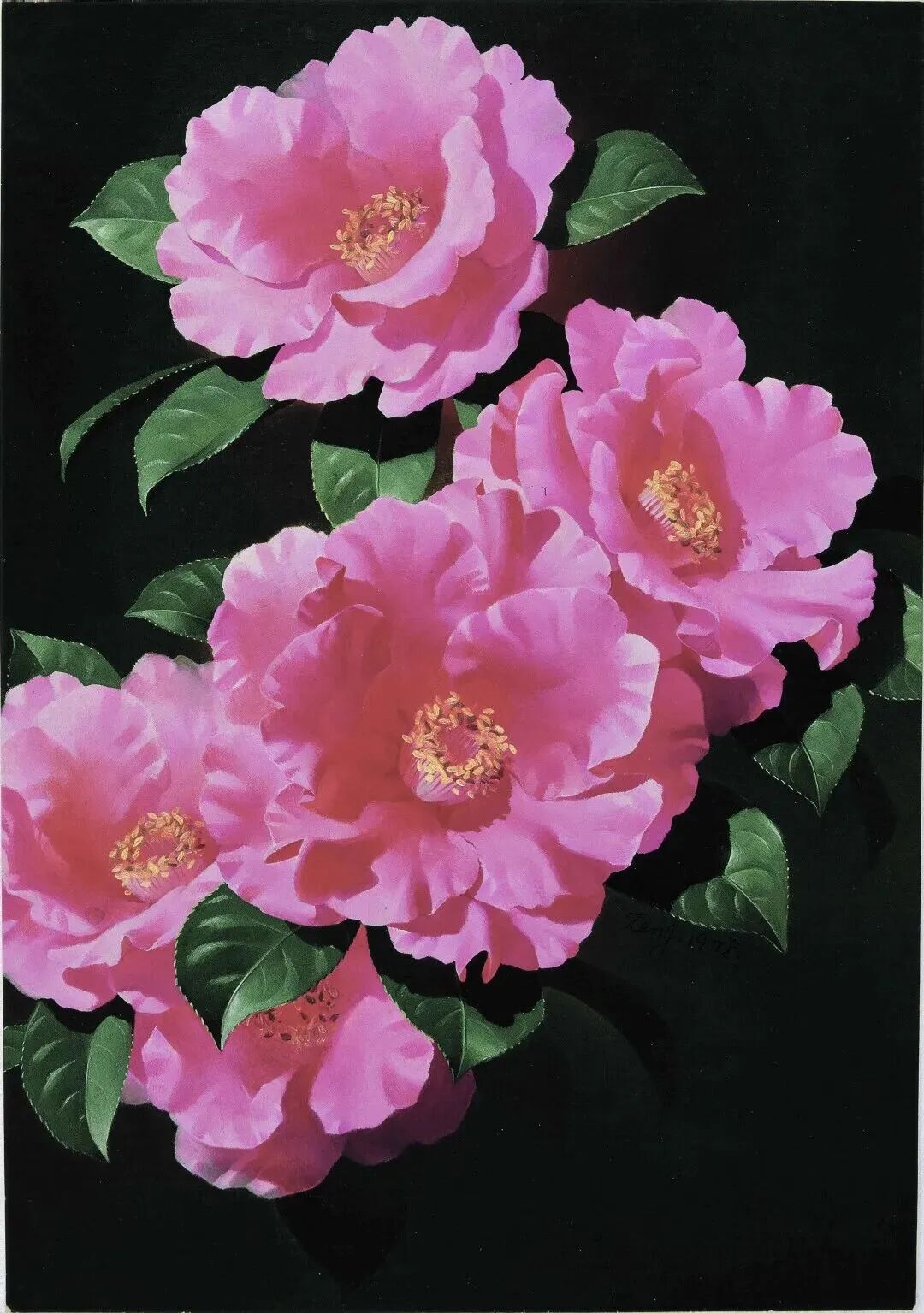 69shuba.ac短剧资讯网