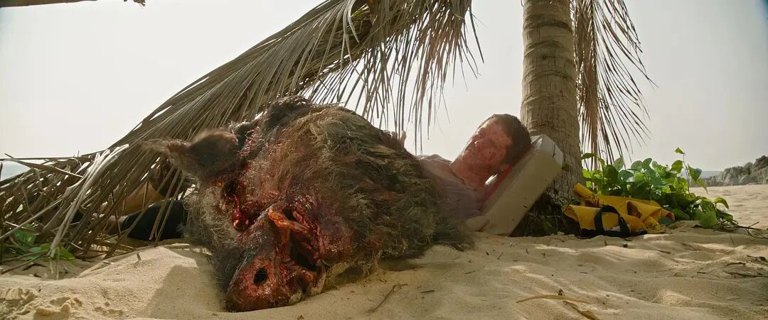 69shuba.ac短剧资讯网