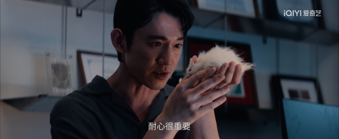 69shuba.ac短剧资讯网