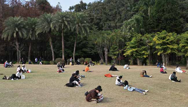 69shuba.ac短剧资讯网