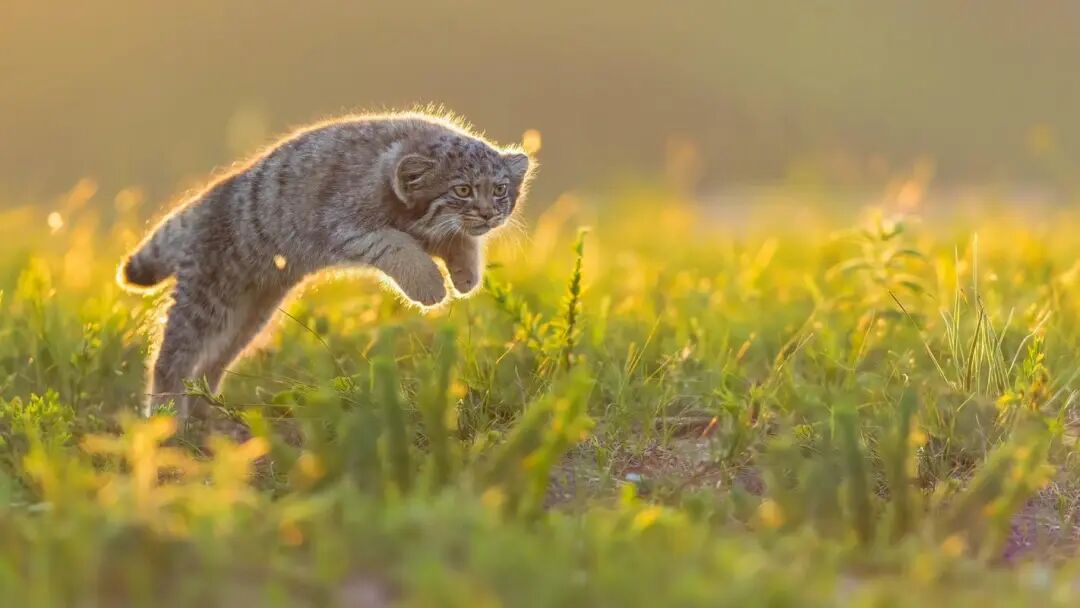 完本养肥精选：赤戟4月书单&middot;2026