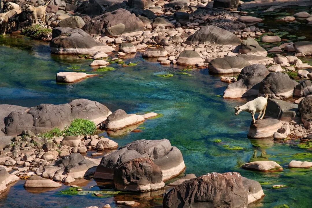 69shuba.ac短剧资讯网