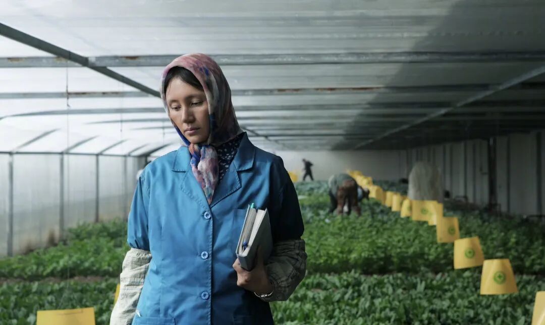 69shuba.ac短剧资讯网