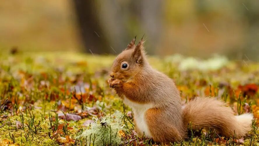 赤戟月度推书&middot;佳作好评回馈&middot;必读（2026&middot;04）