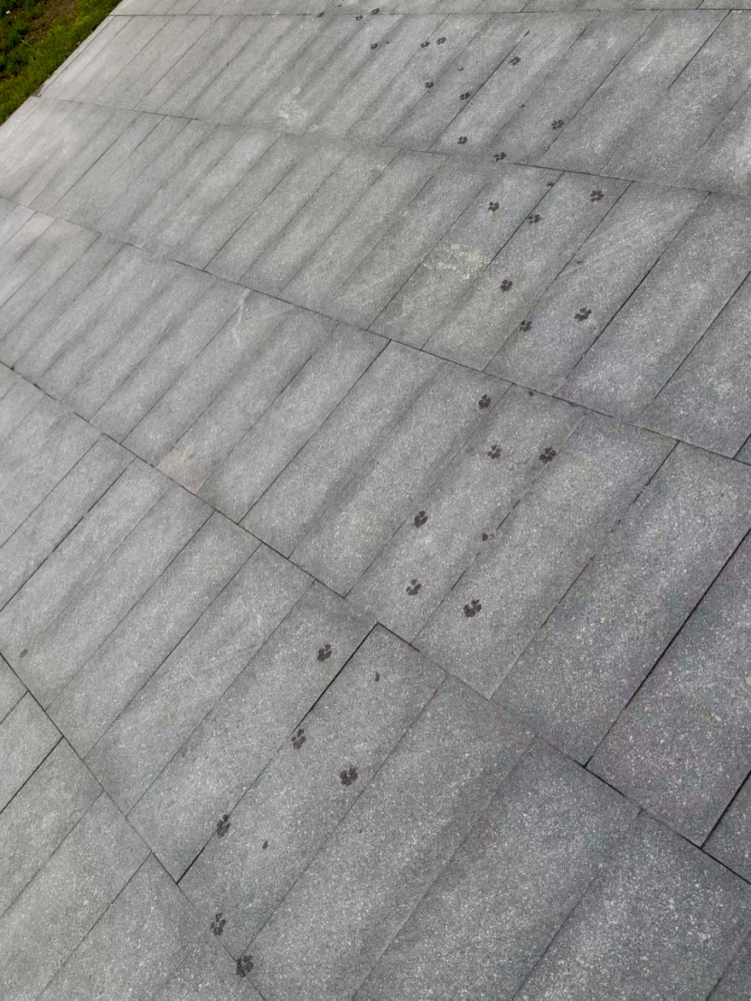 69shuba.ac短剧资讯网