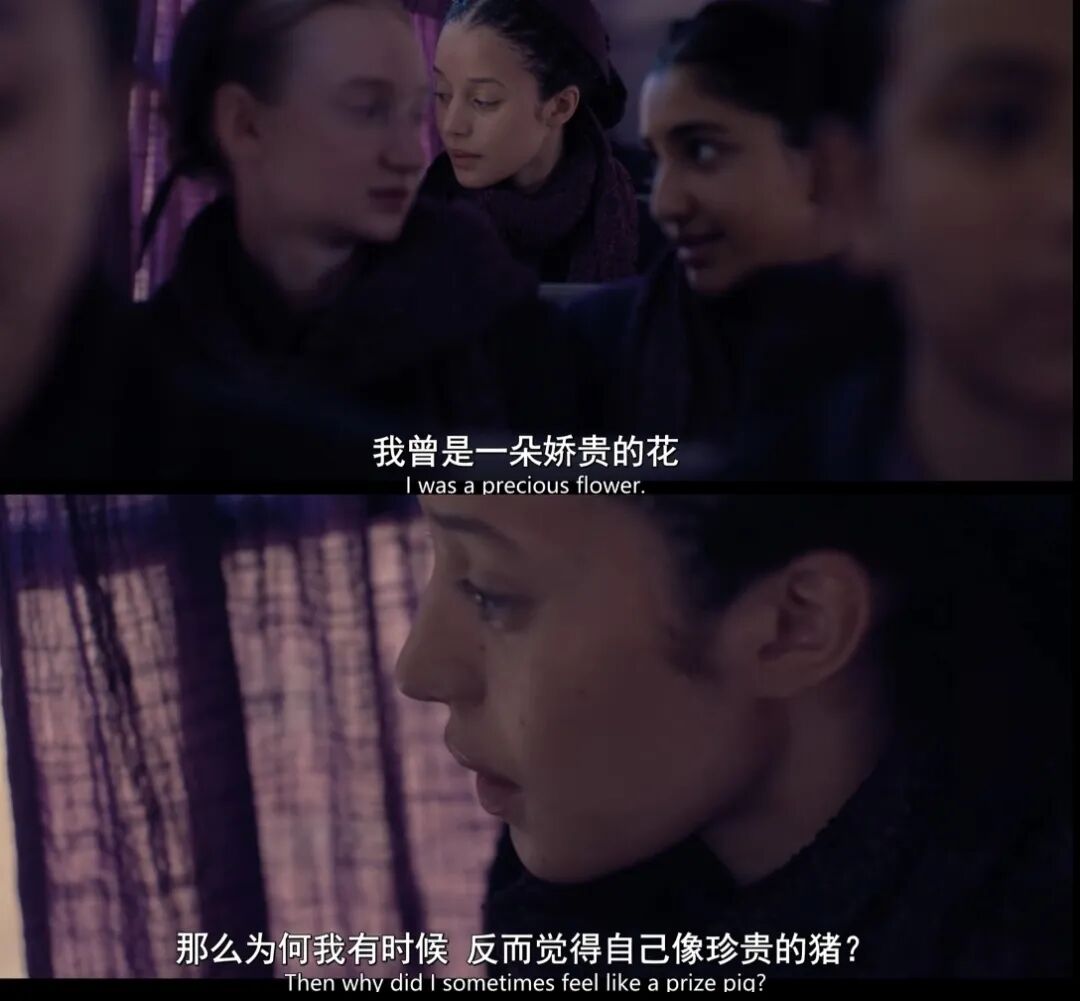 69shuba.ac短剧资讯网