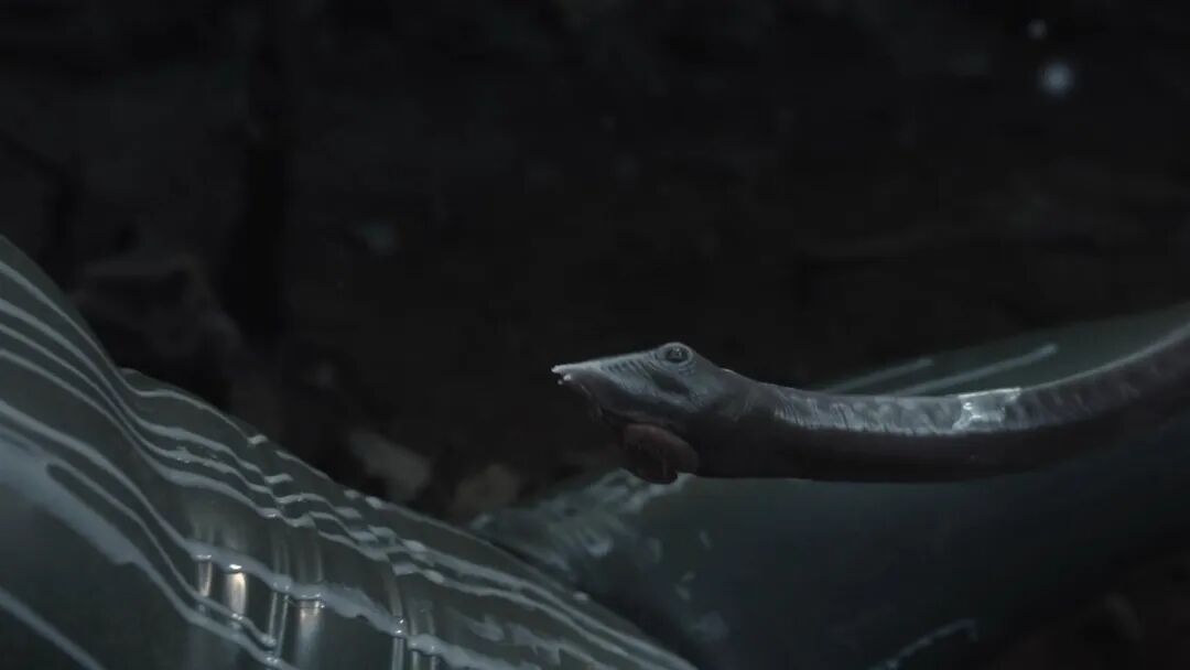 69shuba.ac短剧资讯网