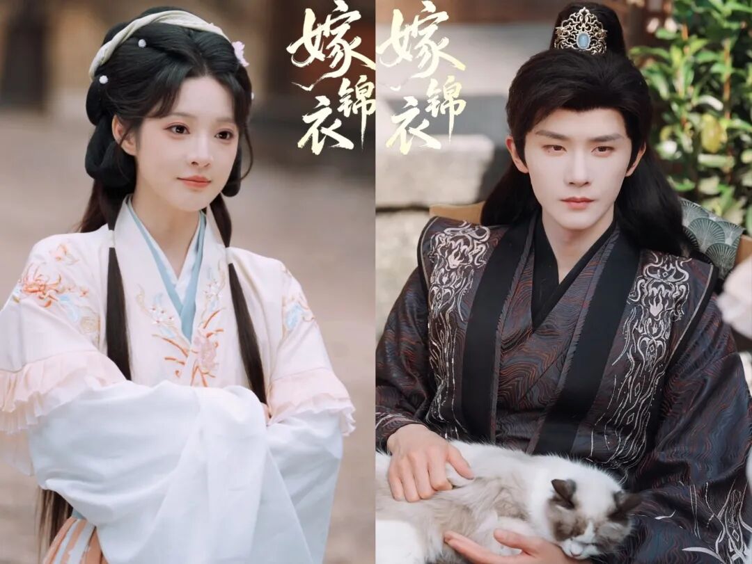 69shuba.ac短剧资讯网