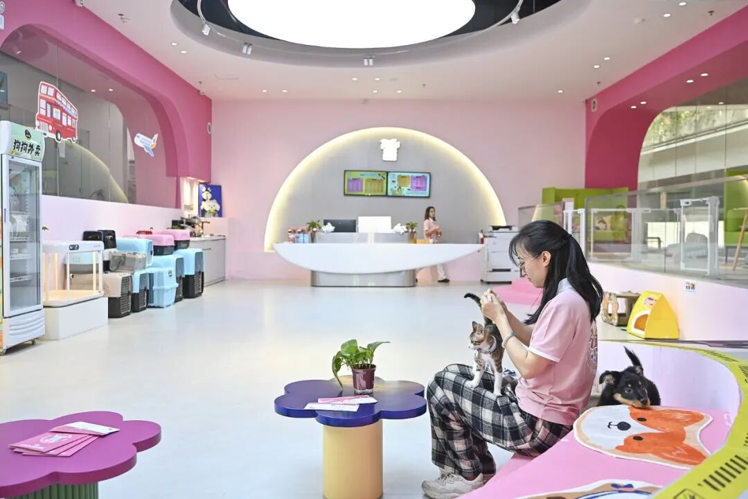 69shuba.ac短剧资讯网