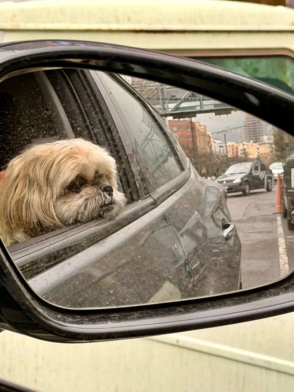 69shuba.ac短剧资讯网