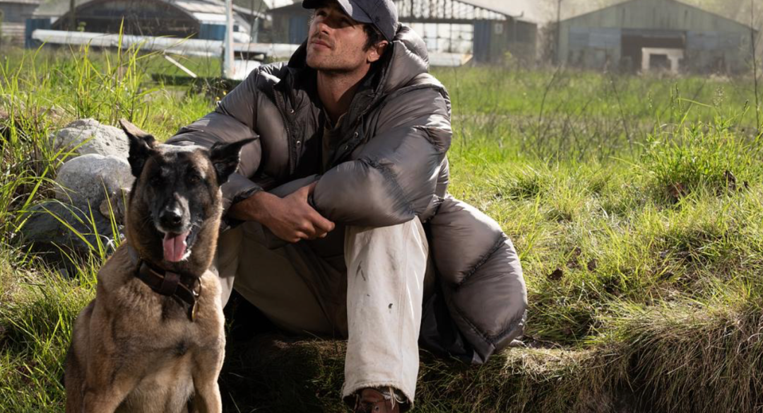 69shuba.ac短剧资讯网