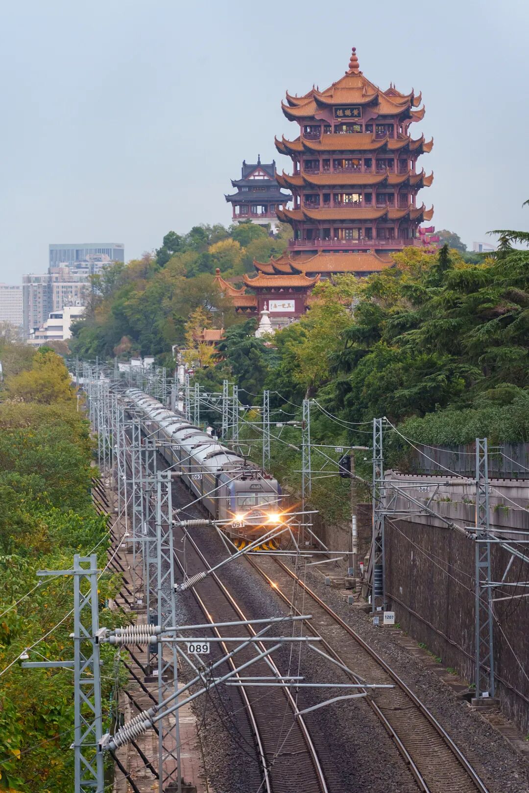 这个春天最会玩的游客，花6块钱&ldquo;绕着武汉走&rdquo;