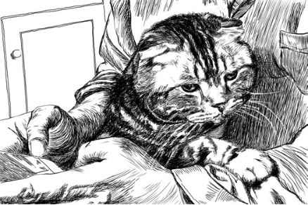 69shuba.ac短剧资讯网