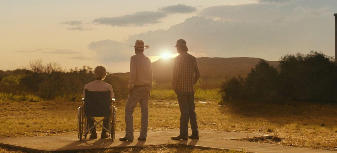 69shuba.ac短剧资讯网