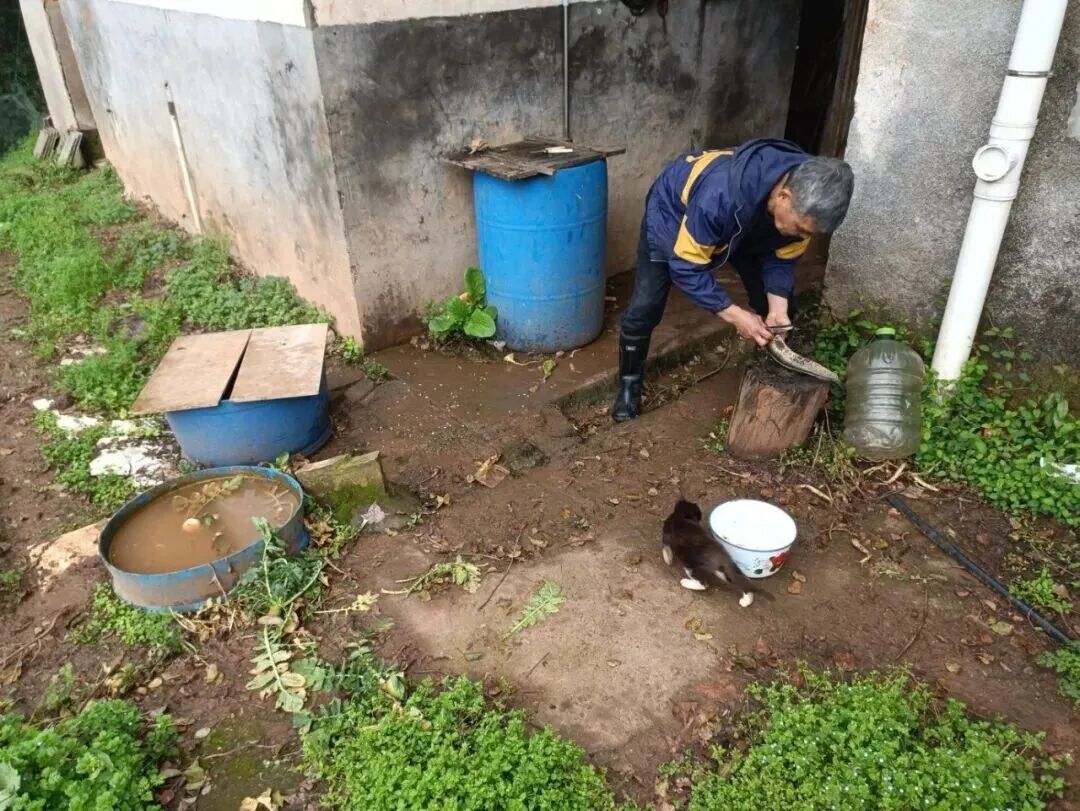 69shuba.ac短剧资讯网