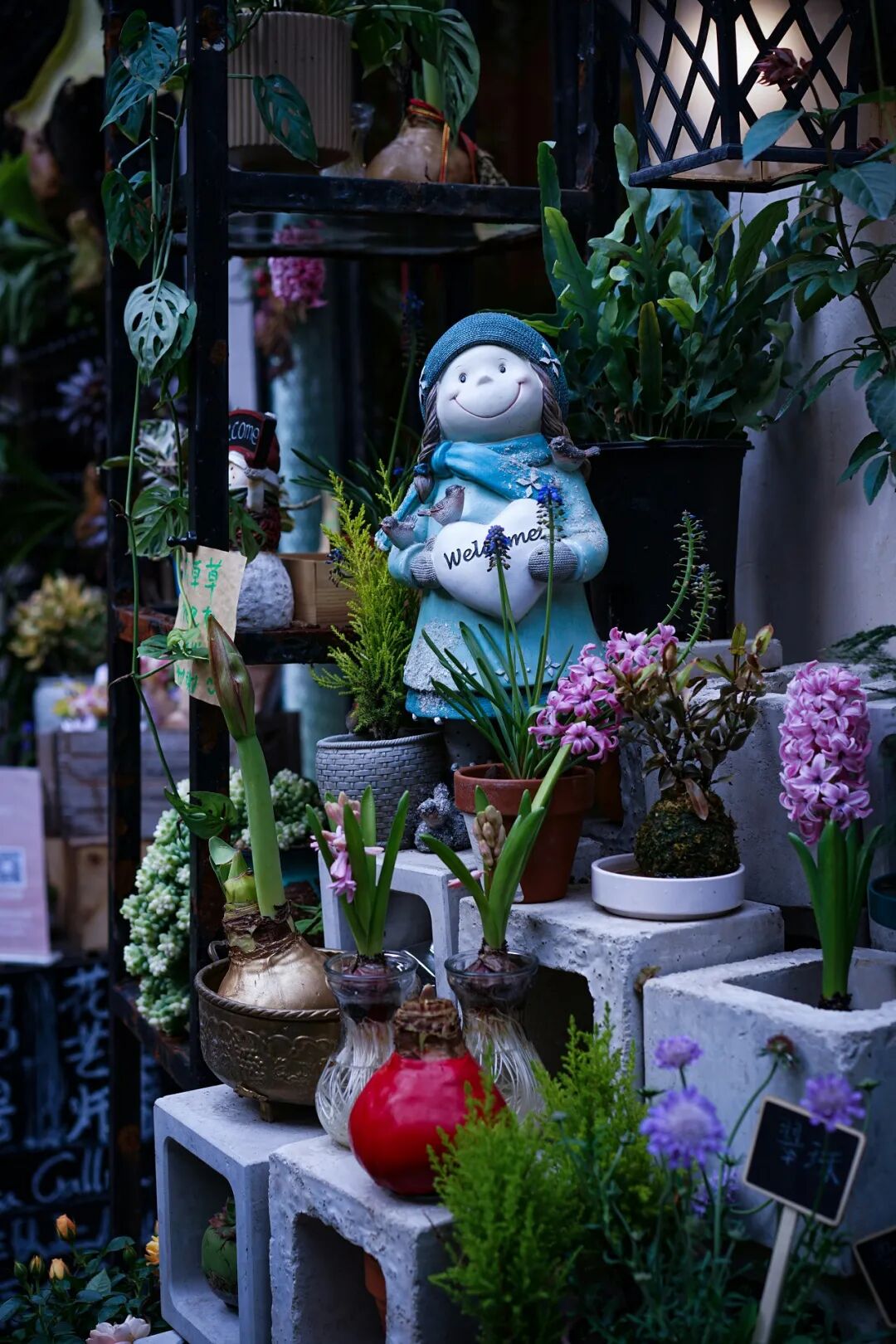 69shuba.ac短剧资讯网