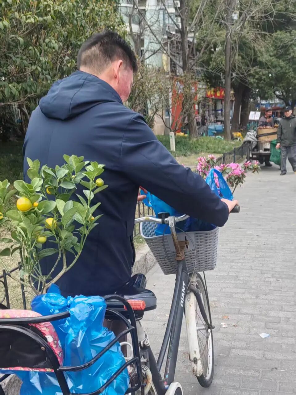 69shuba.ac短剧资讯网