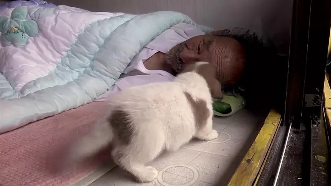 69shuba.ac短剧资讯网