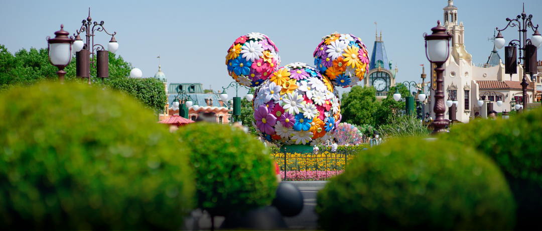 从迪士尼离职后，他把墓园变成花园