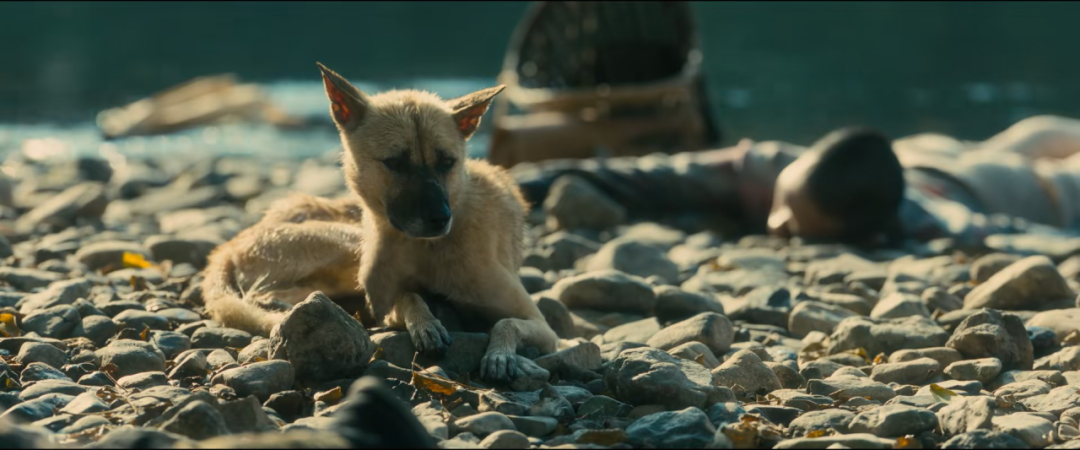 69shuba.ac短剧资讯网