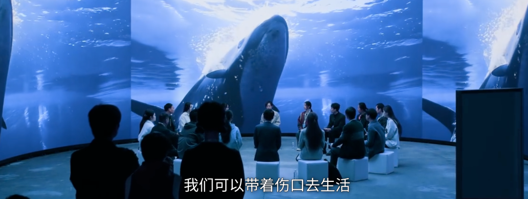 69shuba.ac短剧资讯网