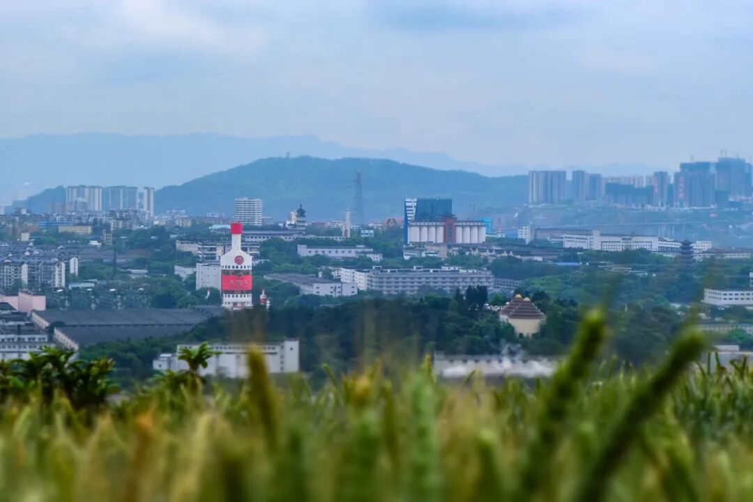 69shuba.ac短剧资讯网